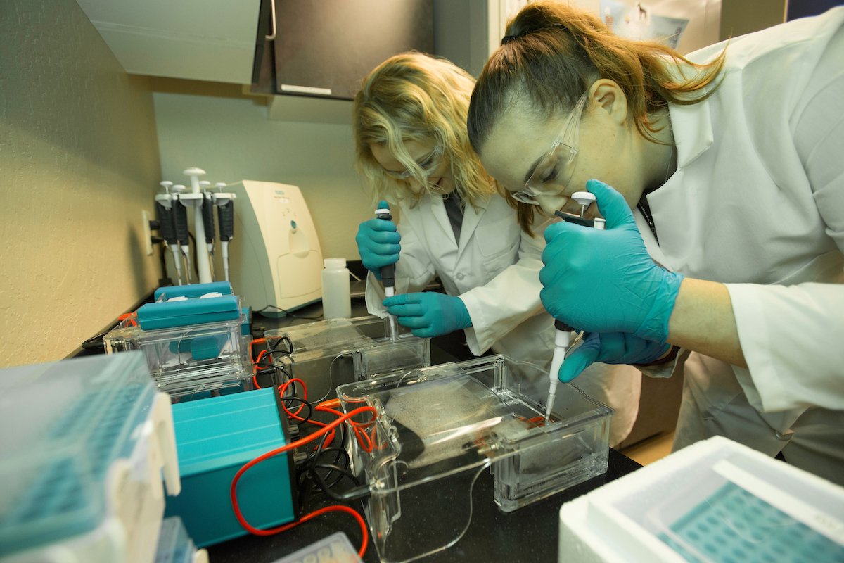 students in the Biology Lab