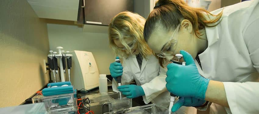 Researchers in the Lab